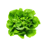 salată-verde
